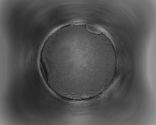 X0000090611429200707171408