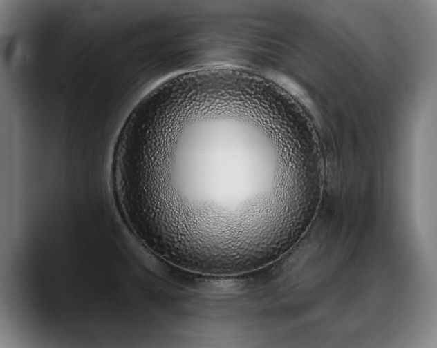 X0000090611431200707171408