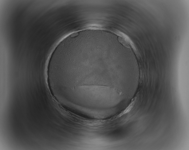 X0000090611435200707171409