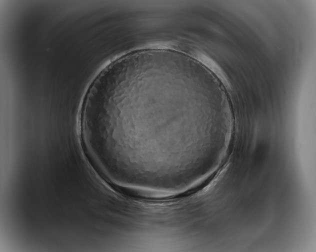 X0000090611436200707171409