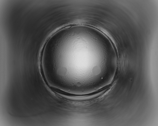 X0000090611437200707171409