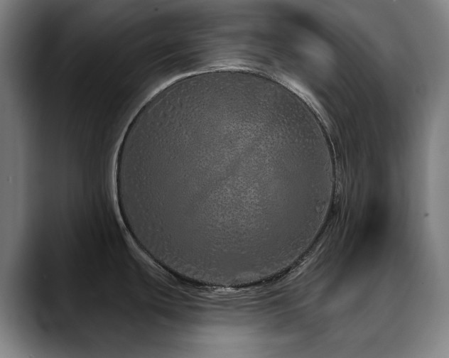 X0000090611439200707171409