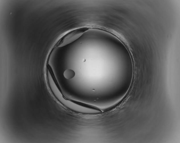 X0000090611440200707171409