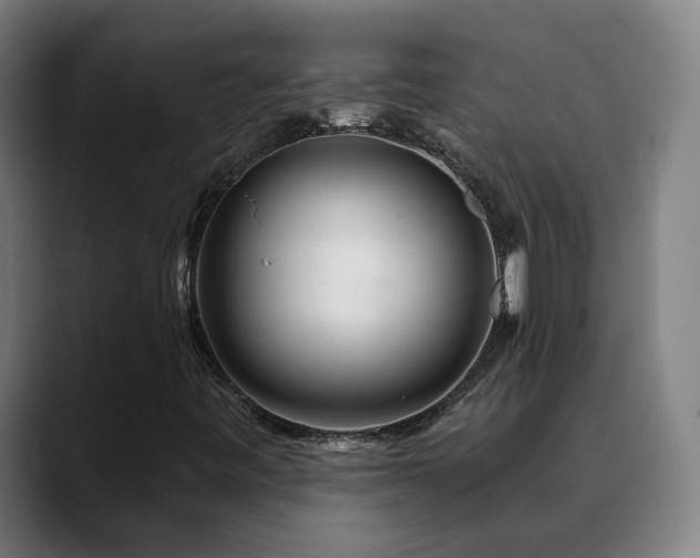 X0000090611443200707171408