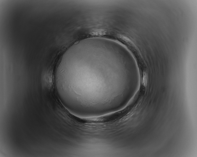 X0000090611444200707171408