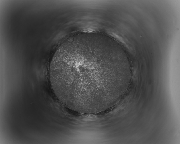 X0000090611446200707171408