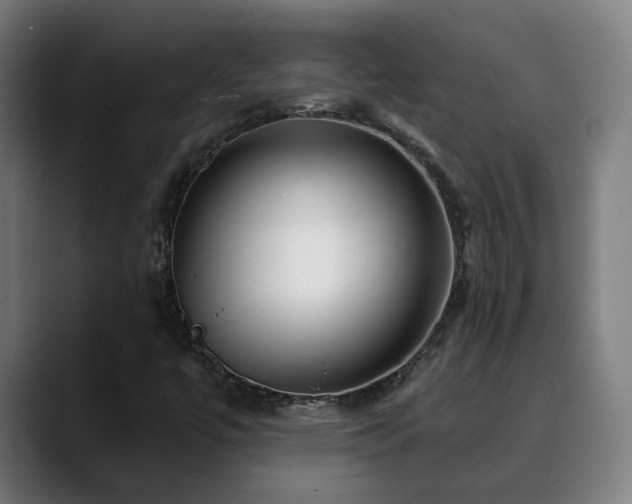 X0000090611447200707171408