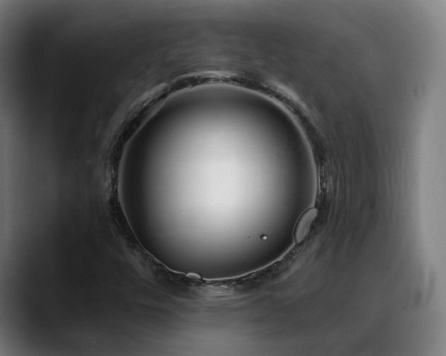 X0000090611448200707171408