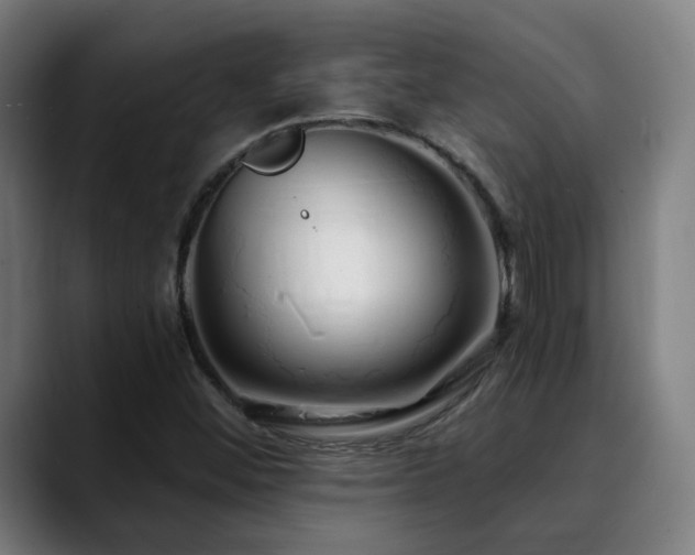 X0000090611452200707171408