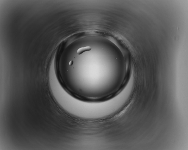 X0000090611457200707171408