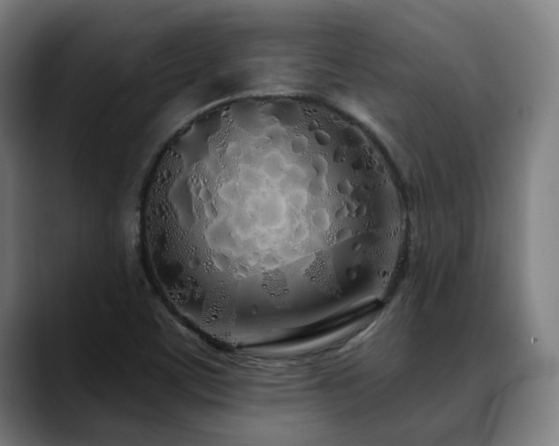 X0000090611459200707171408