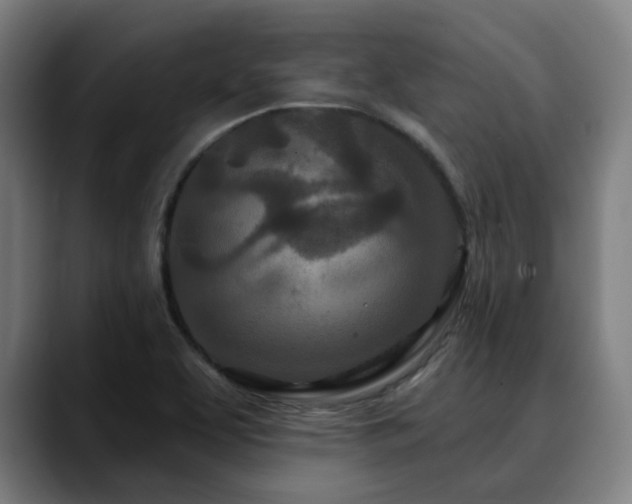 X0000090611463200707171408