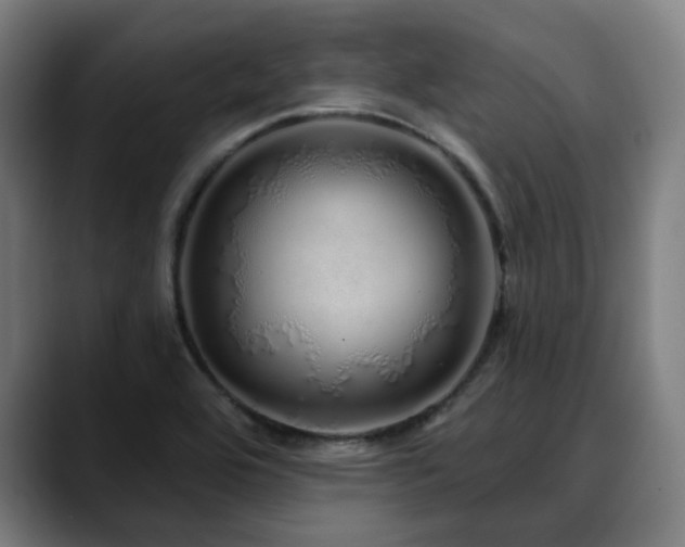 X0000090611464200707171408