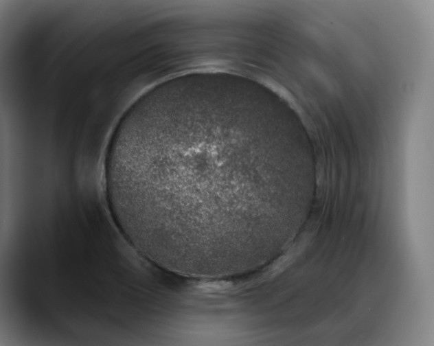 X0000090611466200707171408
