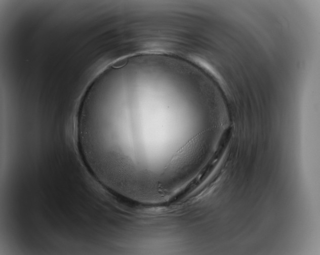 X0000090611467200707171408