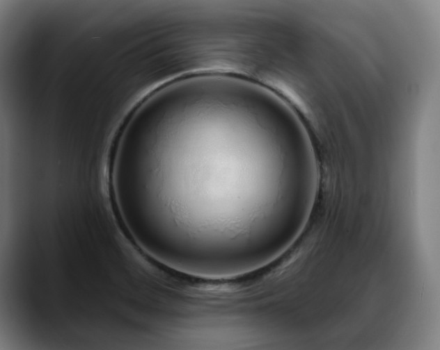 X0000090611468200707171408