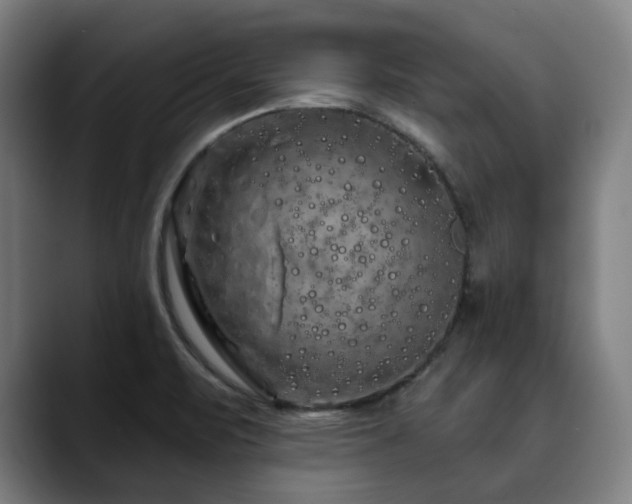X0000090611471200707171408