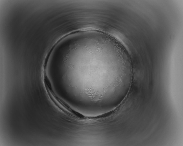 X0000090611476200707171408