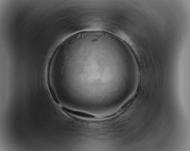 X0000090611480200707171408