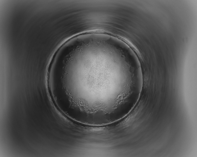X0000090611484200707171408