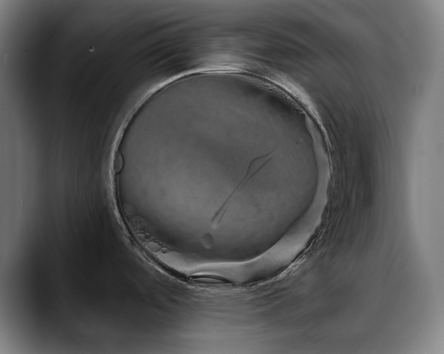 X0000090611488200707171407