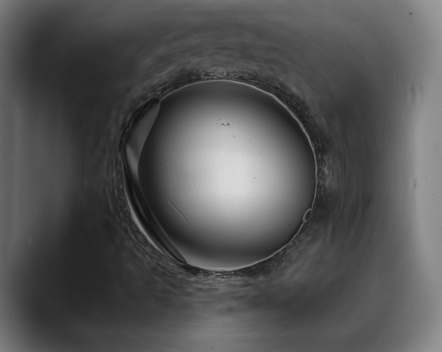 X0000090611493200707171407
