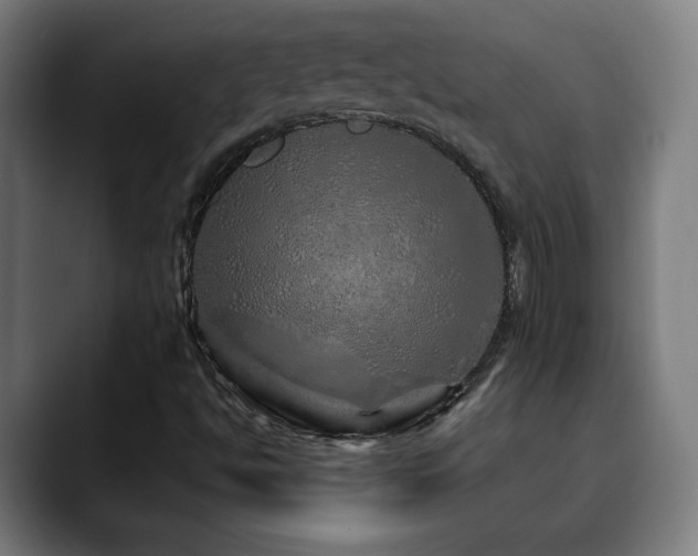 X0000090611494200707171407