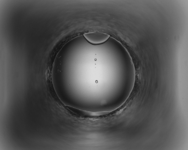 X0000090611495200707171407