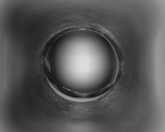X0000090611496200707171407