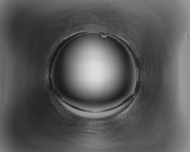 X0000090611499200707171407
