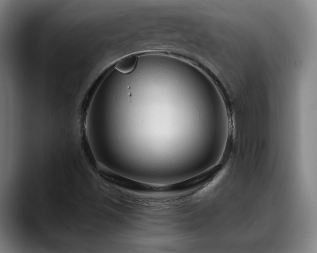 X0000090611501200707171407