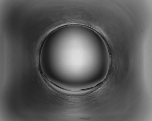 X0000090611504200707171407