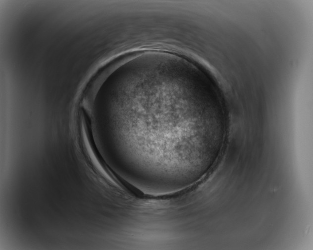 X0000090611506200707171407