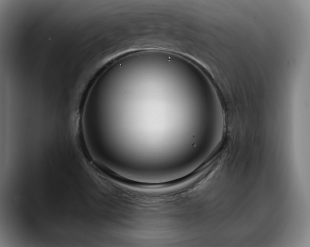 X0000090611507200707171407
