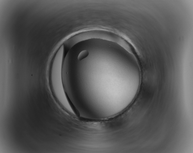 X0000090611508200707171407