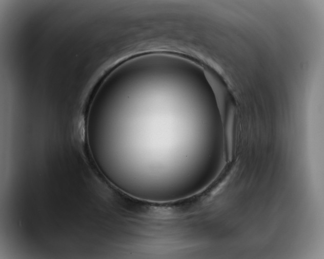 X0000090611509200707171407