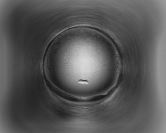 X0000090611513200707171407