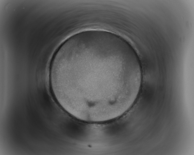 X0000090611514200707171407