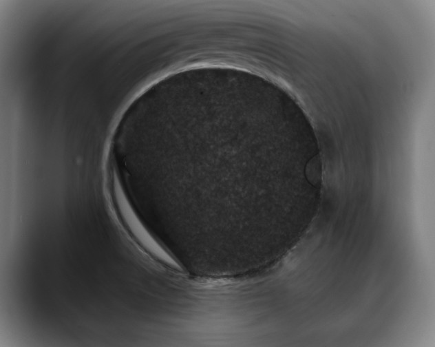 X0000090611522200707171407