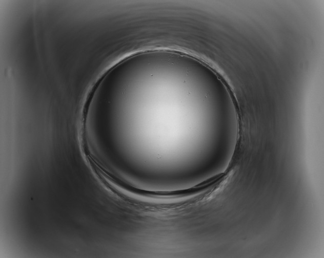 X0000090611525200707171407