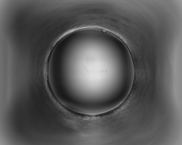 X0000090611526200707171407