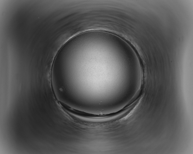 X0000090611529200707171407