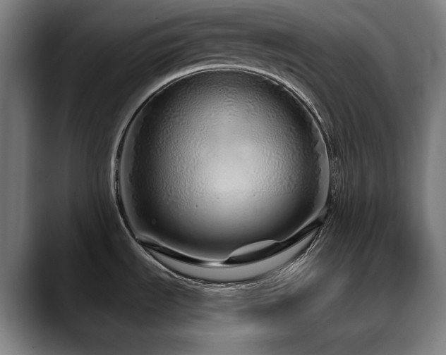 X0000090611535200707171407