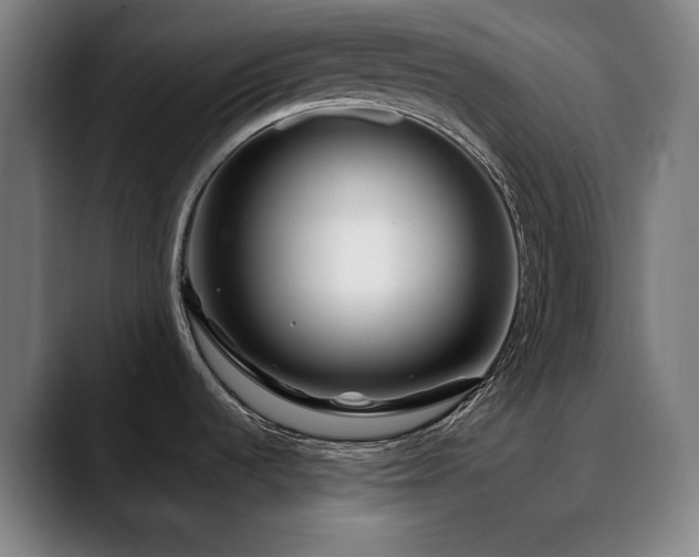 X0000090611536200707171407