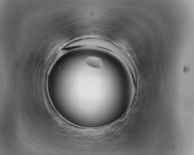 X0000090610001200707241116