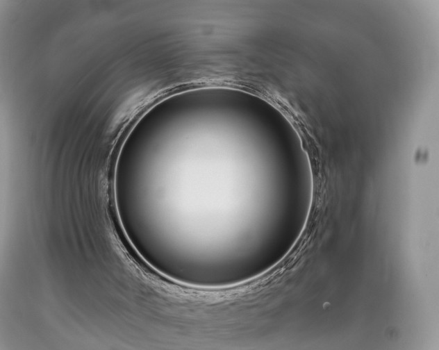 X0000090610002200707241116