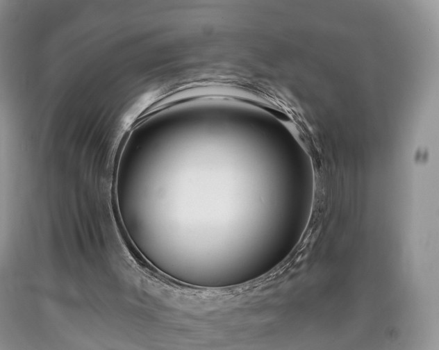 X0000090610003200707241116