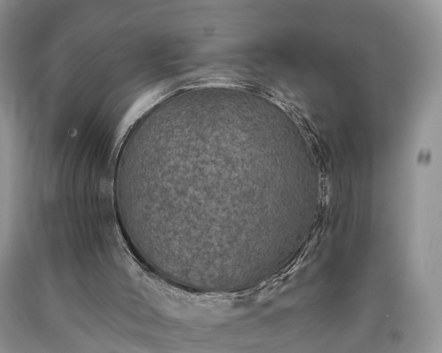 X0000090610004200707241116