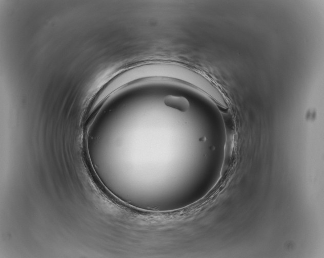 X0000090610005200707241116