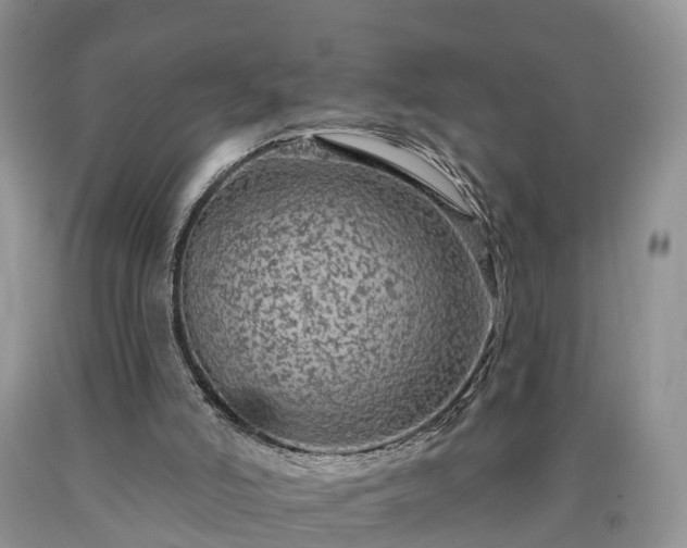 X0000090610006200707241116